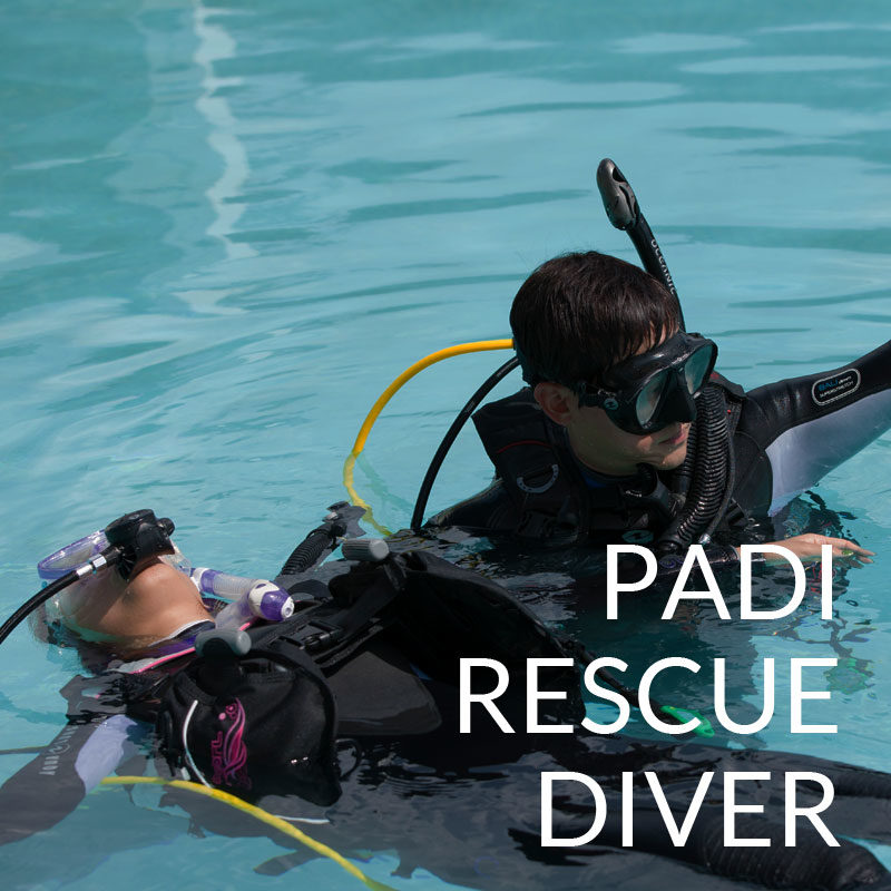 padi rescue diver course puerto galera