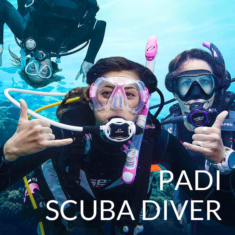 padi scuba diver course puerto galera