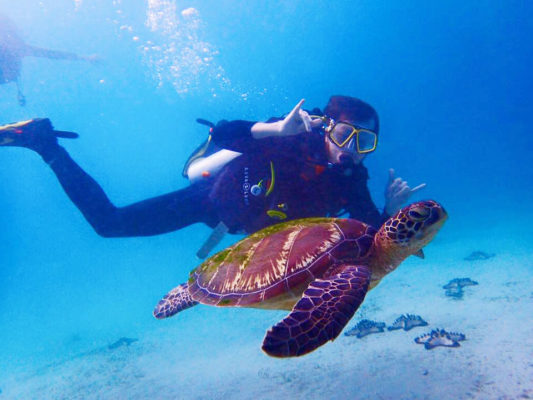 school college university scuba diving trips in puerto galera
