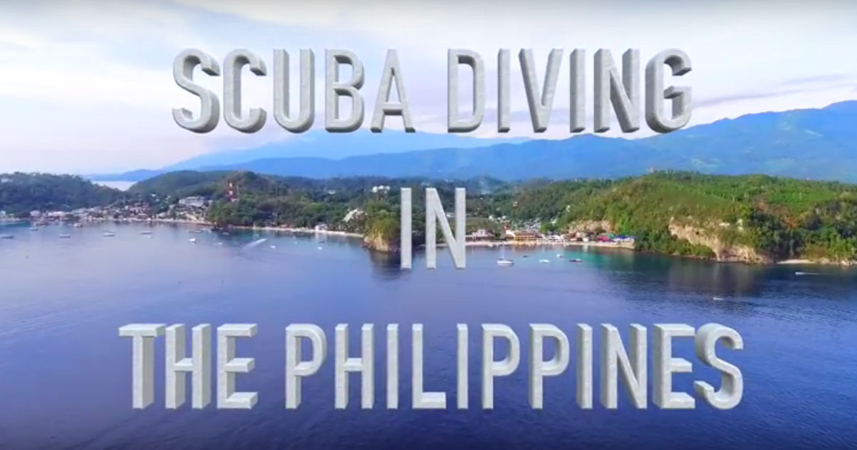 scuba diving in the philippines video scandi divers resort
