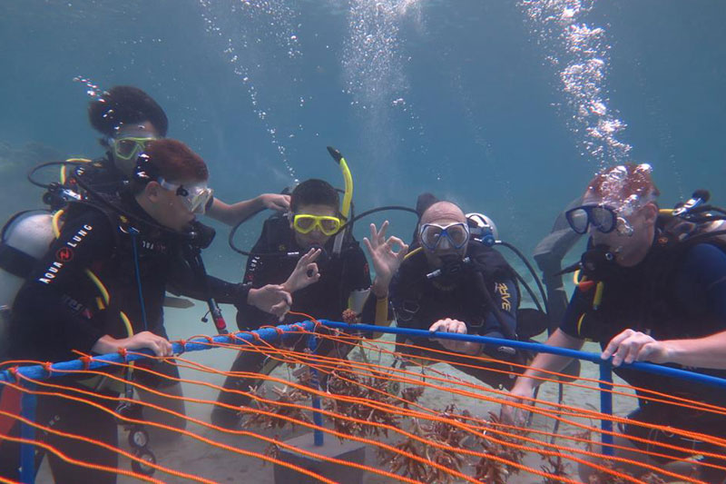 students building coral nursery puerto galera philippines