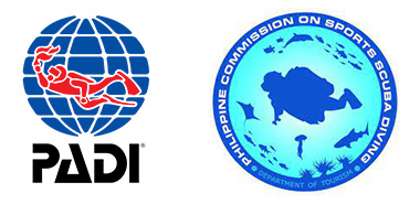 padi and pcssd logos