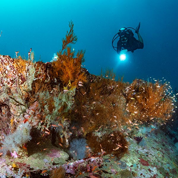 padi advanced open water course